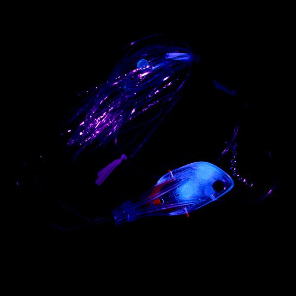 Musselhead Blue Bubble UV Rig 6